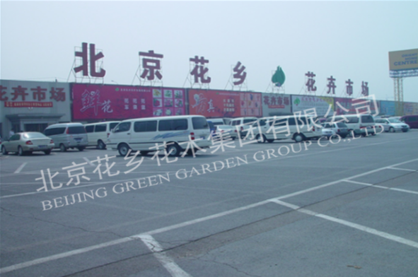 北京花乡花卉市场